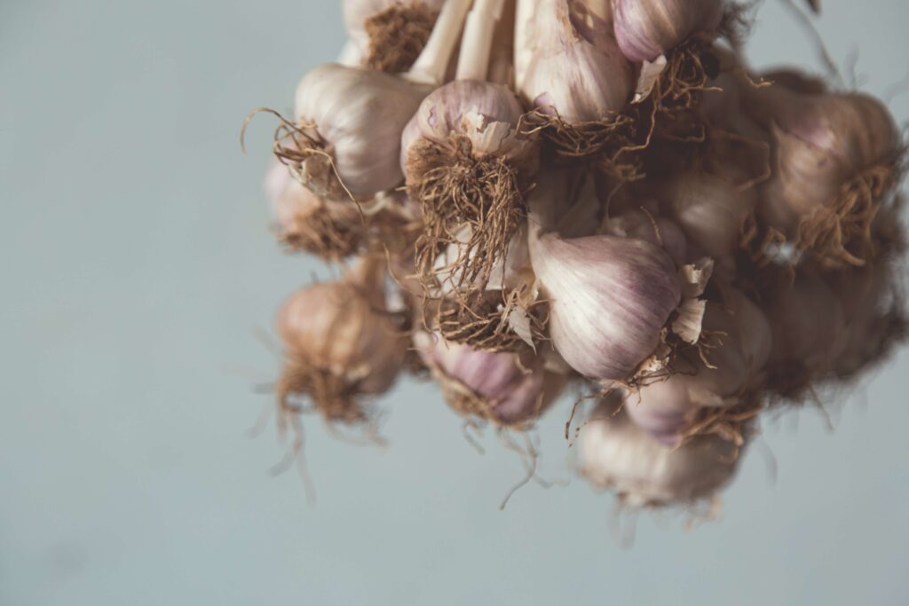 garlic cloves in a bunch 